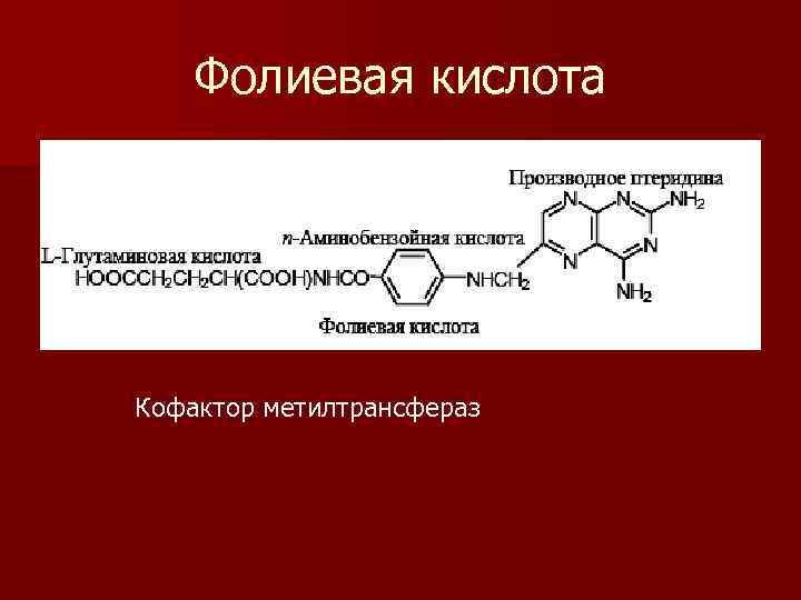   Фолиевая кислота Кофактор метилтрансфераз 