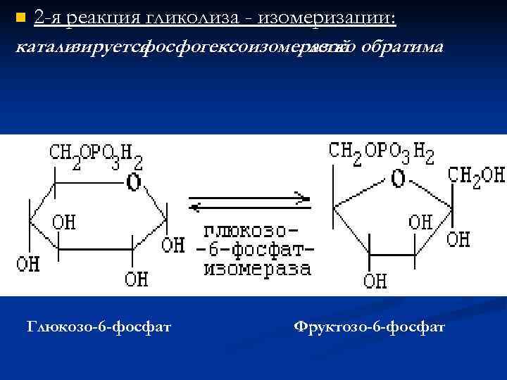 n  2 -я реакция гликолиза - изомеризации: кат ализируется    фосфогексоизомеразой