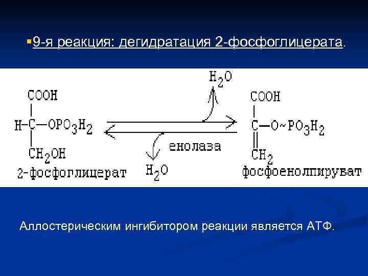 § 9 -я реакция: дегидратация 2 -фосфоглицерата. Аллостерическим ингибитором реакции является АТФ. 