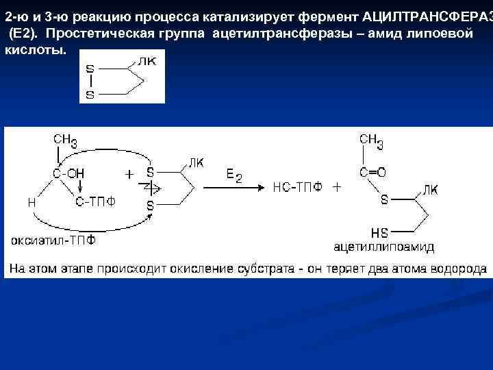 2 -ю и 3 -ю реакцию процесса катализирует фермент АЦИЛТРАНСФЕРАЗ (Е 2). Простетическая группа