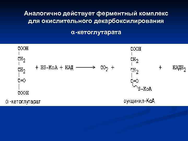 Аналогично действует ферментный комплекс для окислительного декарбоксилирования   -кетоглутарата   Суммарное уравнение