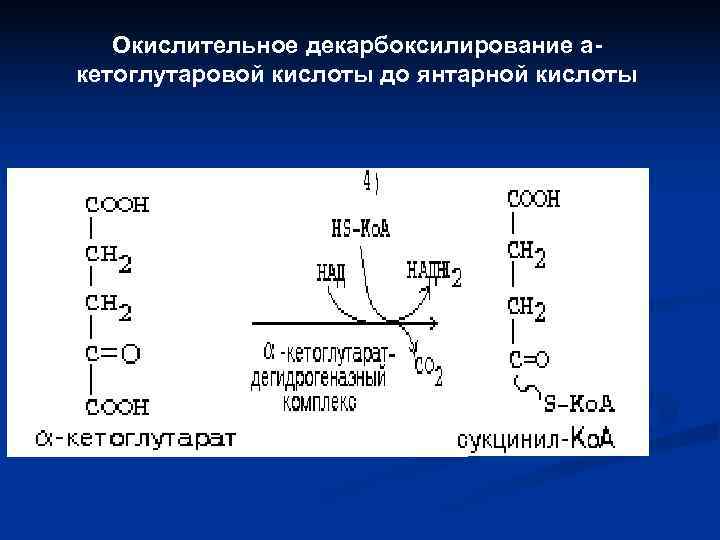   Окислительное декарбоксилирование a- кетоглутаровой кислоты до янтарной кислоты 