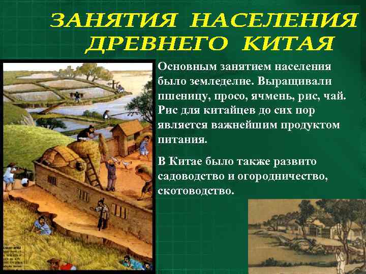 Основным занятием населения было земледелие. Выращивали пшеницу, просо, ячмень, рис, чай. Рис для китайцев