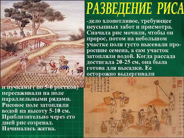      -дело хлопотливое, требующее      неусыпных