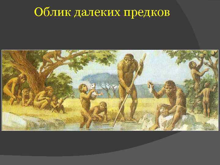 Облик далеких предков 