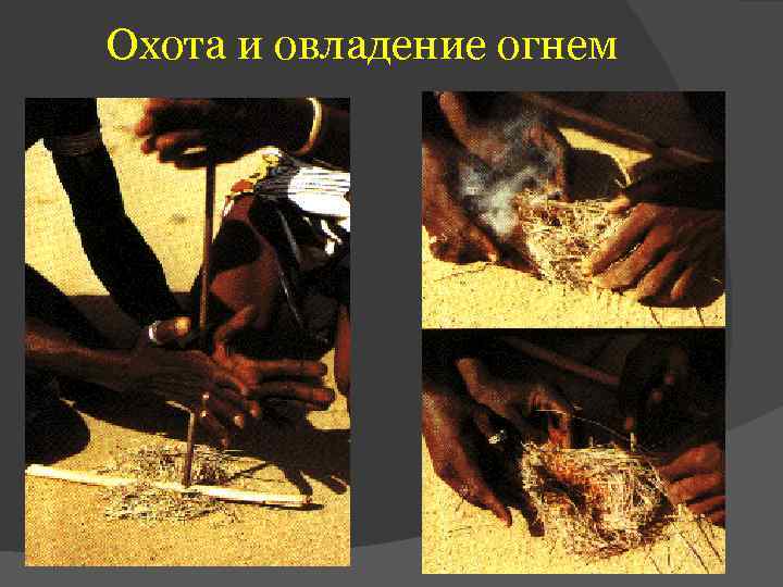 Охота и овладение огнем 