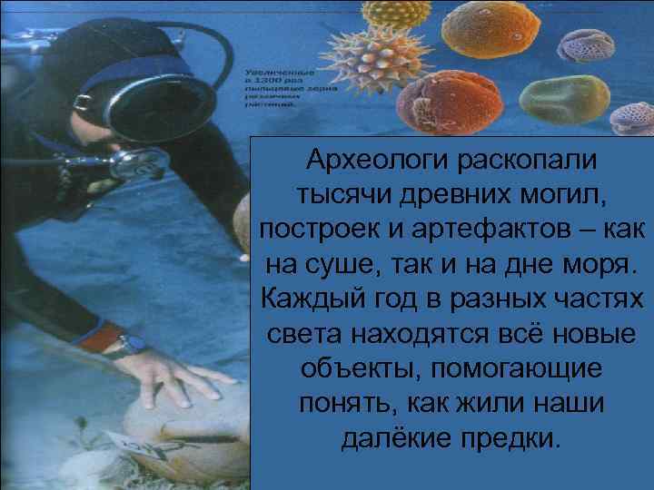   Археологи раскопали  тысячи древних могил, построек и артефактов – как на