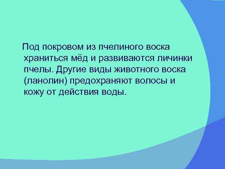 Под покровом из пчелиного воска храниться мёд и развиваются личинки пчелы. Другие виды животного