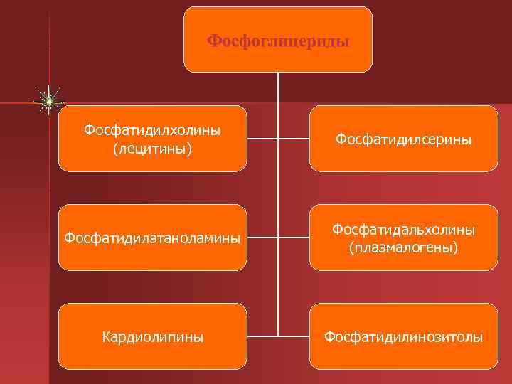     Фосфоглицериды  Фосфатидилхолины      Фосфатидилсерины (лецитины)