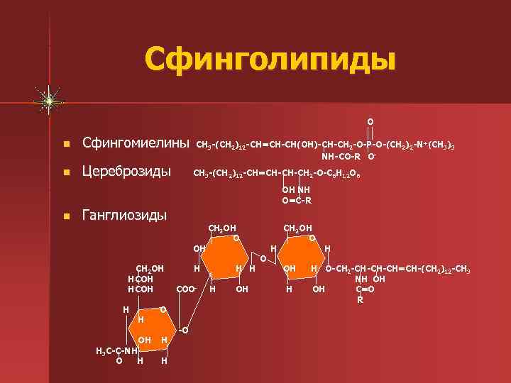    Сфинголипиды      О n  Сфингомиелины 