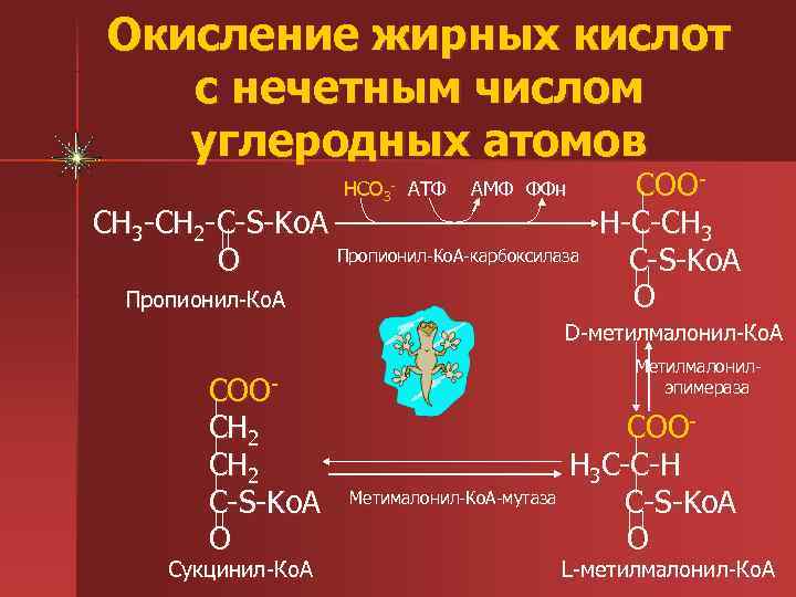 Окисление жиров