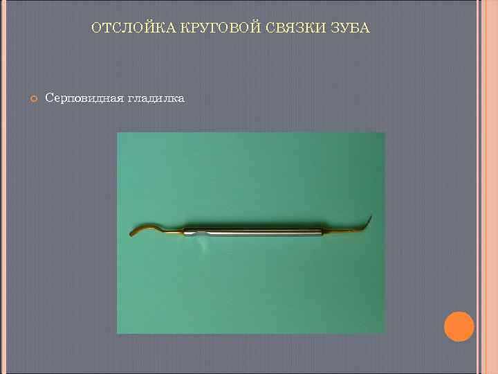    ОТСЛОЙКА КРУГОВОЙ СВЯЗКИ ЗУБА  Серповидная гладилка 