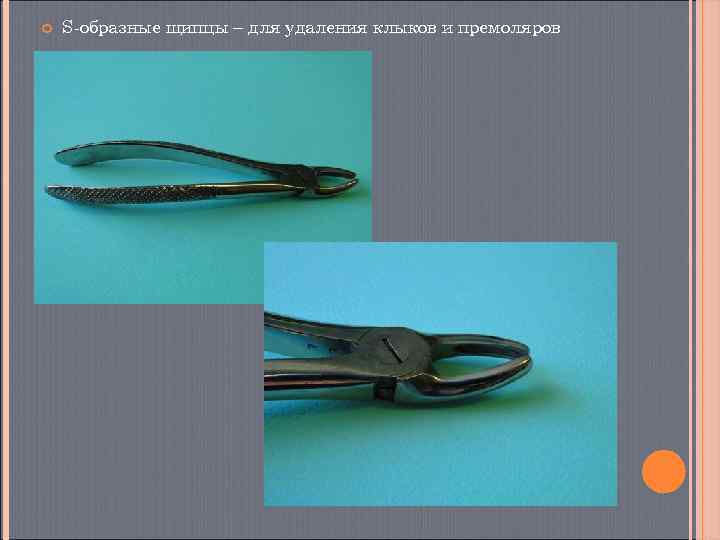   S-образные щипцы – для удаления клыков и премоляров 