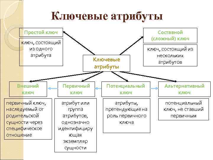    Ключевые атрибуты  Простой ключ      