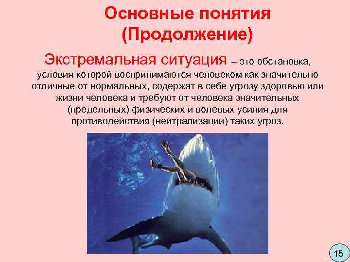    Основные понятия    (Продолжение)  Экстремальная ситуация – это