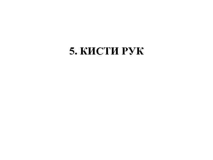 5. КИСТИ РУК 