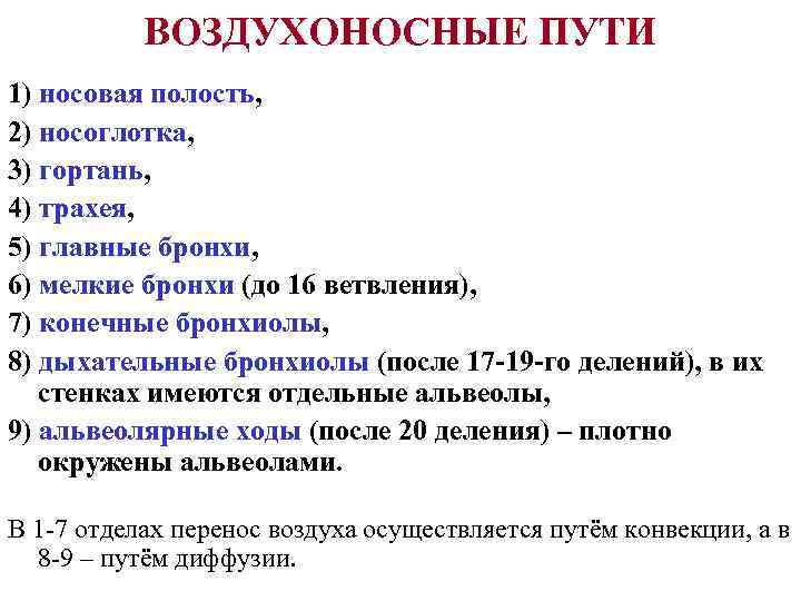   ВОЗДУХОНОСНЫЕ ПУТИ 1) носовая полость, 2) носоглотка, 3) гортань, 4) трахея, 5)