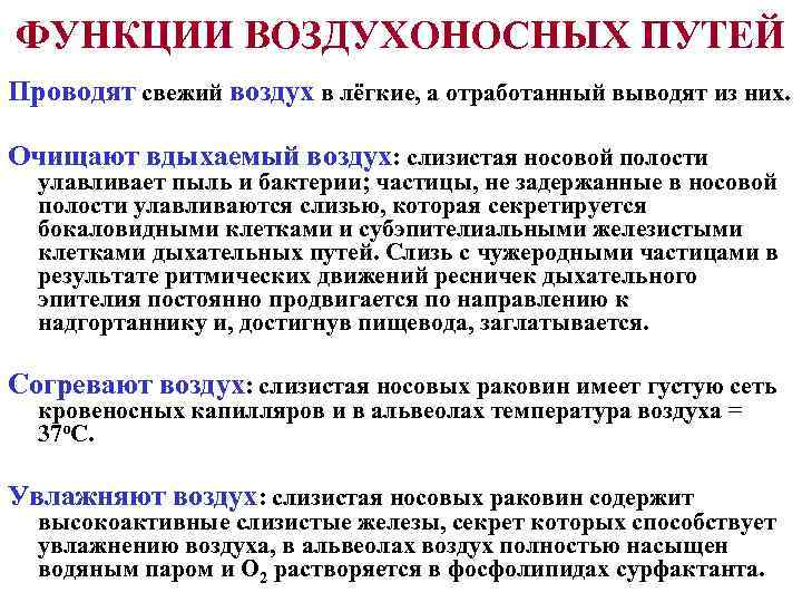 ФУНКЦИИ ВОЗДУХОНОСНЫХ ПУТЕЙ Проводят свежий воздух в лёгкие, а отработанный выводят из них. 