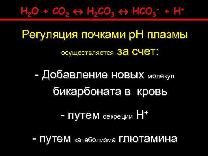 H 2 O + CO 2 H 2 CO 3 HCO 3 H 2 O + CO 2 H 2 CO 3 HCO 3