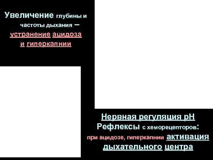Увеличение глубины и частоты дыхания – устранение ацидоза и гиперкапнии Увеличение глубины и частоты дыхания – устранение ацидоза и гиперкапнии