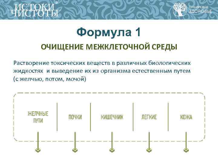 Формула 1 ОЧИЩЕНИЕ МЕЖКЛЕТОЧНОЙ СРЕДЫ Растворение токсических веществ Формула 1 ОЧИЩЕНИЕ МЕЖКЛЕТОЧНОЙ СРЕДЫ Растворение токсических веществ