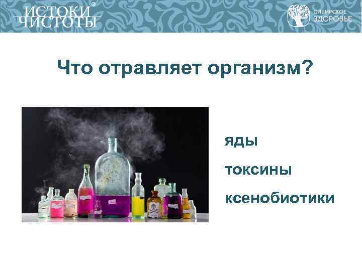 Что отравляет организм? яды токсины Что отравляет организм? яды токсины