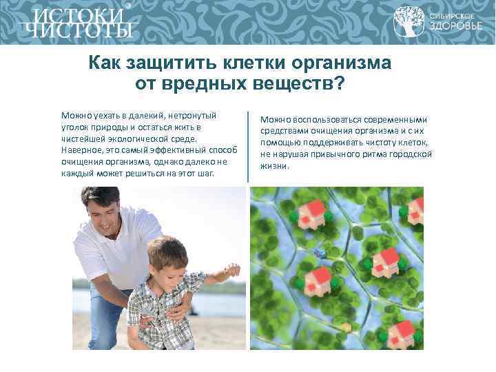 Как защитить клетки организма от вредных веществ? Можно уехать в далекий, нетронутый Как защитить клетки организма от вредных веществ? Можно уехать в далекий, нетронутый