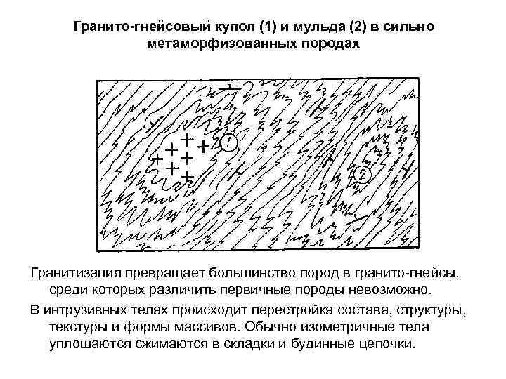  Гранито-гнейсовый купол (1) и мульда (2) в сильно   метаморфизованных породах Гранитизация