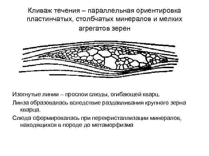   Кливаж течения – параллельная ориентировка пластинчатых, столбчатых минералов и мелких  