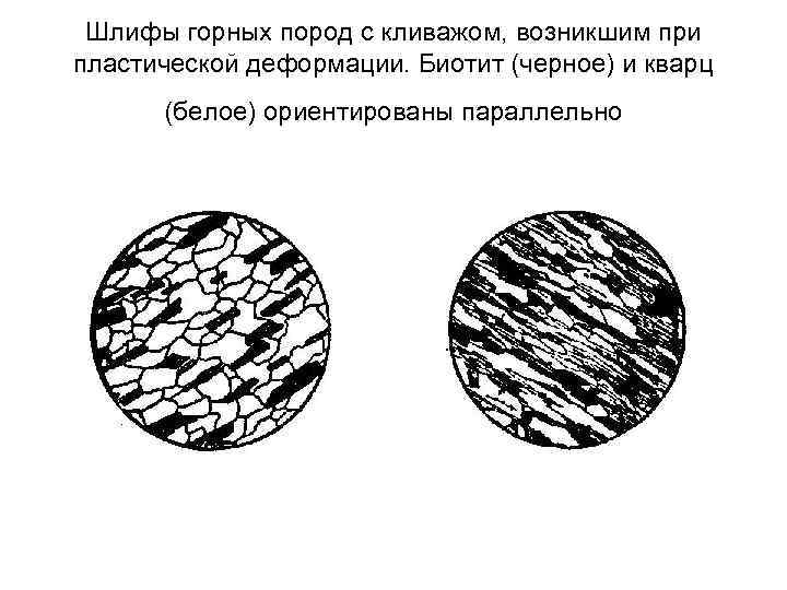  Шлифы горных пород с кливажом, возникшим при пластической деформации. Биотит (черное) и кварц