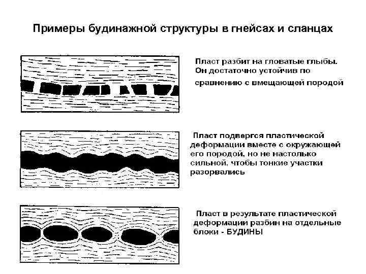Примеры будинажной структуры в гнейсах и сланцах 