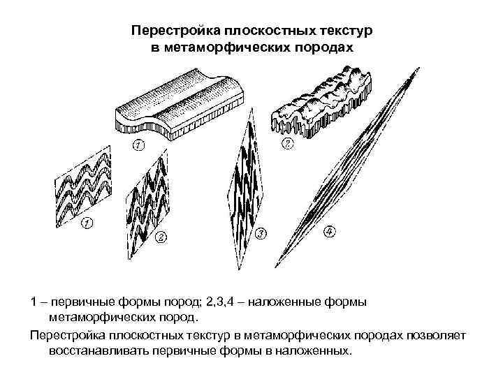     Перестройка плоскостных текстур   в метаморфических породах 1 –