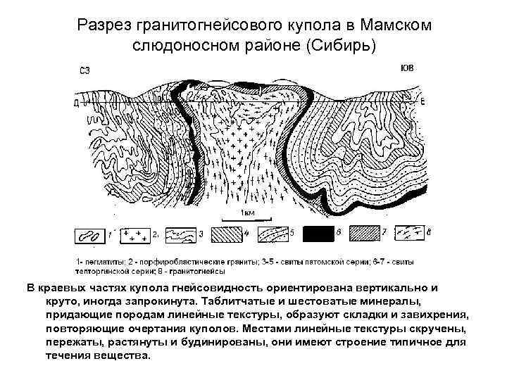   Разрез гранитогнейсового купола в Мамском   слюдоносном районе (Сибирь) В краевых