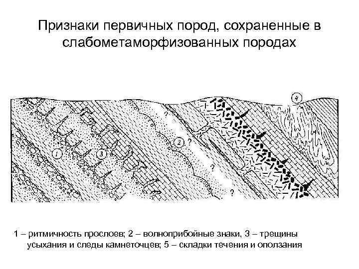  Признаки первичных пород, сохраненные в   слабометаморфизованных породах 1 – ритмичность прослоев;