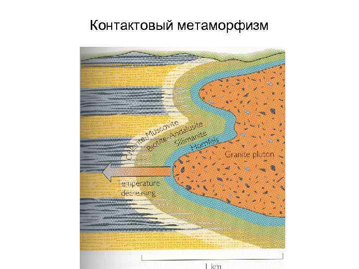 Контактовый метаморфизм 