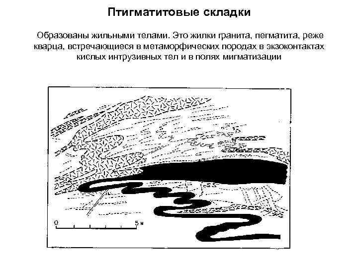     Птигматитовые складки Образованы жильными телами. Это жилки гранита, пегматита, реже
