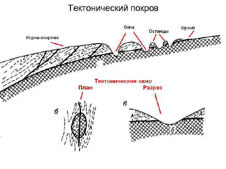 Тектонический покров 