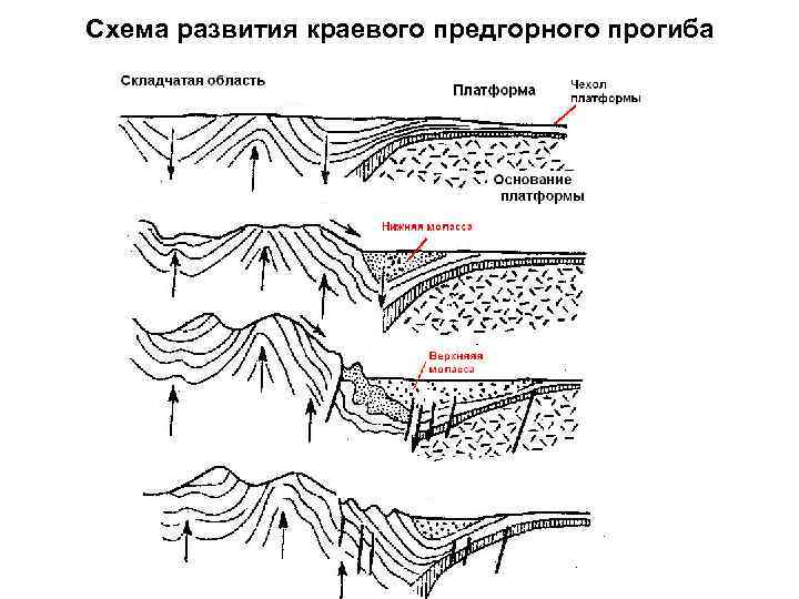 Предуральский краевой прогиб геологическое строение. Приверхоянский краевой прогиб. Предуральский краевой прогиб геологическое строение. Краевой прогиб форма рельефа. Разрез предуральского краевого прогиба.