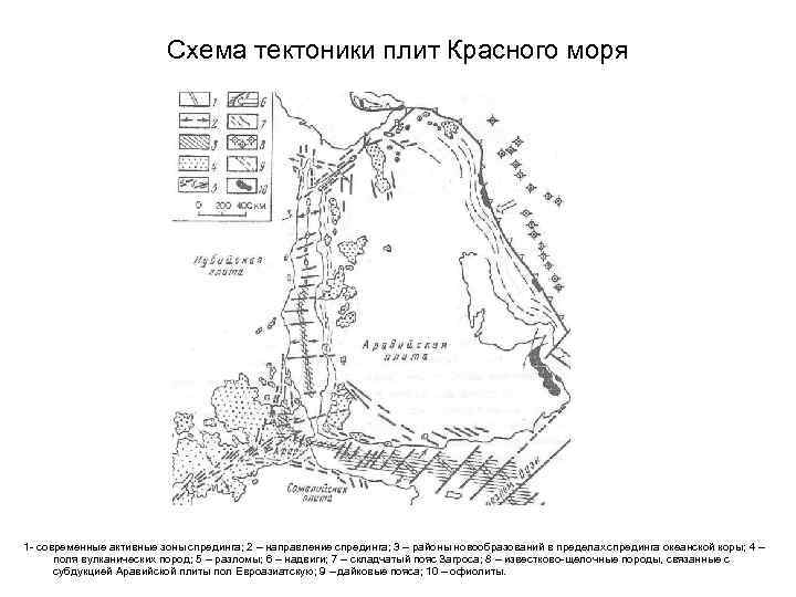      Схема тектоники плит Красного моря 1 - современные активные