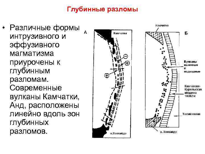 Роговик структура и текстура