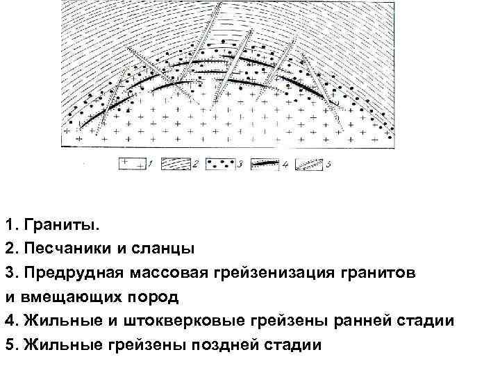 1. Граниты. 2. Песчаники и сланцы 3. Предрудная массовая грейзенизация гранитов и вмещающих пород 1. Граниты. 2. Песчаники и сланцы 3. Предрудная массовая грейзенизация гранитов и вмещающих пород