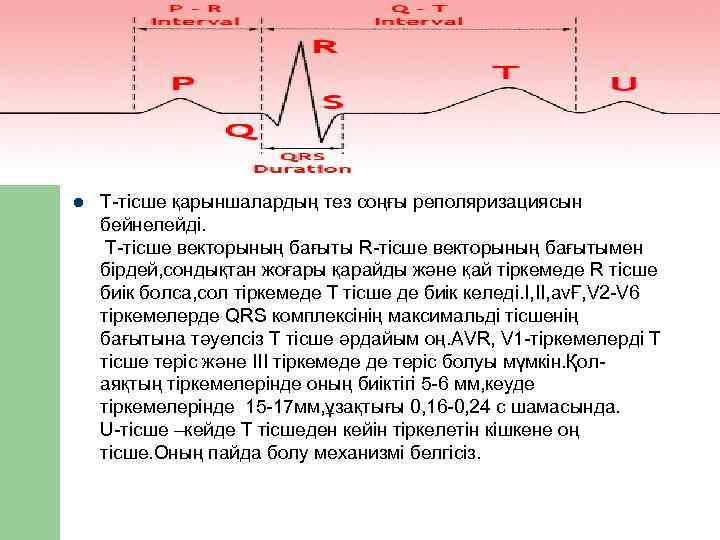 l  Т-тісше қарыншалардың тез соңғы реполяризациясын бейнелейді.  Т-тісше векторының бағыты R-тісше векторының