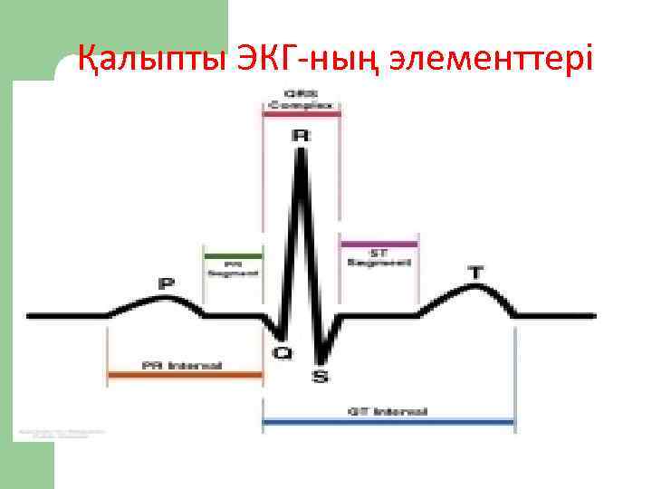 Қалыпты ЭКГ-ның элементтері 