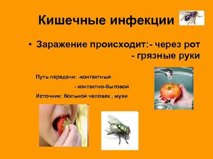  Кишечные инфекции • Заражение происходит: - через рот    - грязные