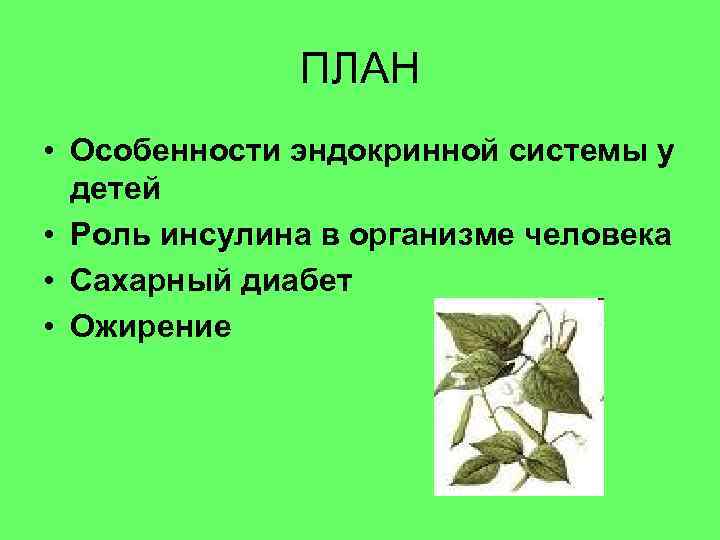    ПЛАН • Особенности эндокринной системы у  детей • Роль инсулина
