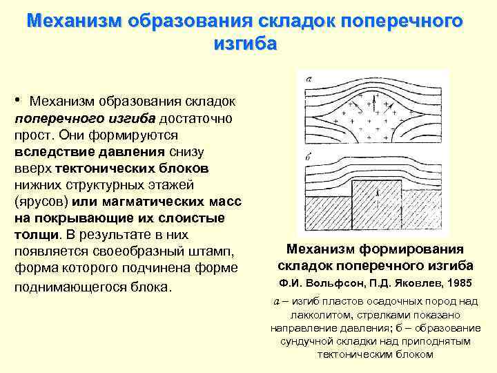  Механизм образования складок поперечного    изгиба  • Механизм образования складок