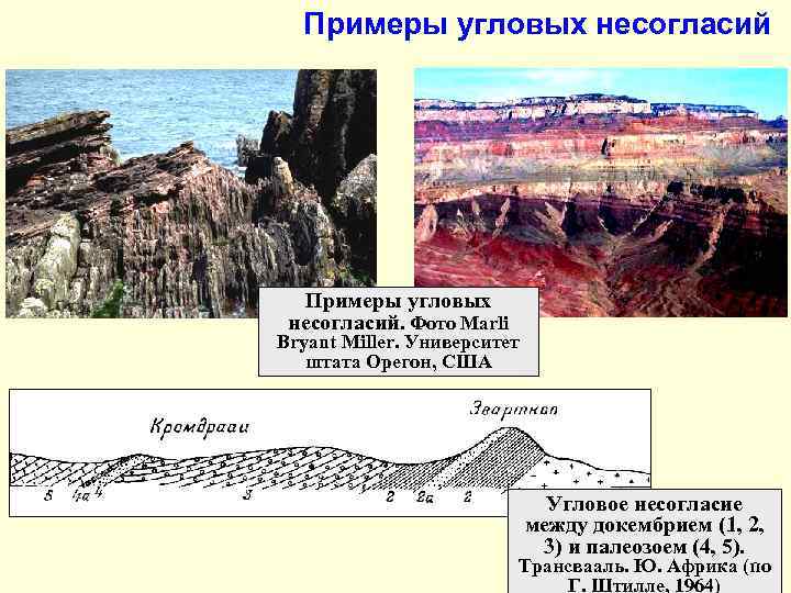  Примеры угловых несогласий  Примеры угловых  несогласий. Фото Marli Bryant Miller. Университет