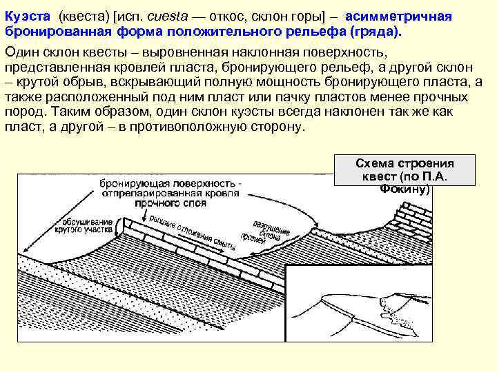 Куэста (квеста) [исп. cuesta — откос, склон горы] – асимметричная бронированная форма положительного рельефа