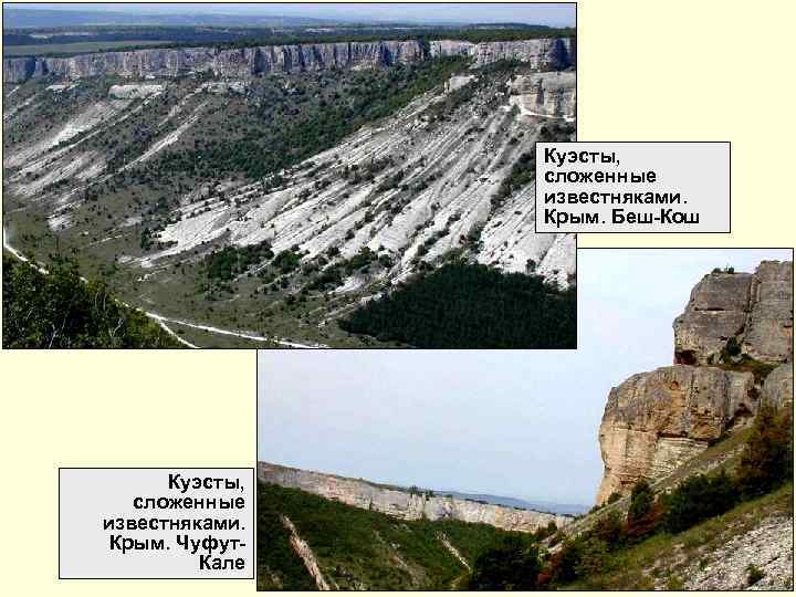     Куэсты,   сложенные   известняками.   Крым.