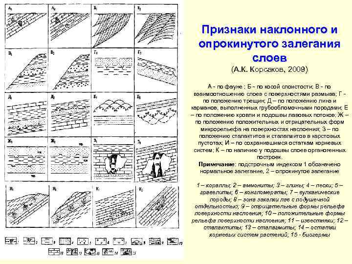  Признаки наклонного и  опрокинутого залегания  слоев   (А. К. Корсаков,